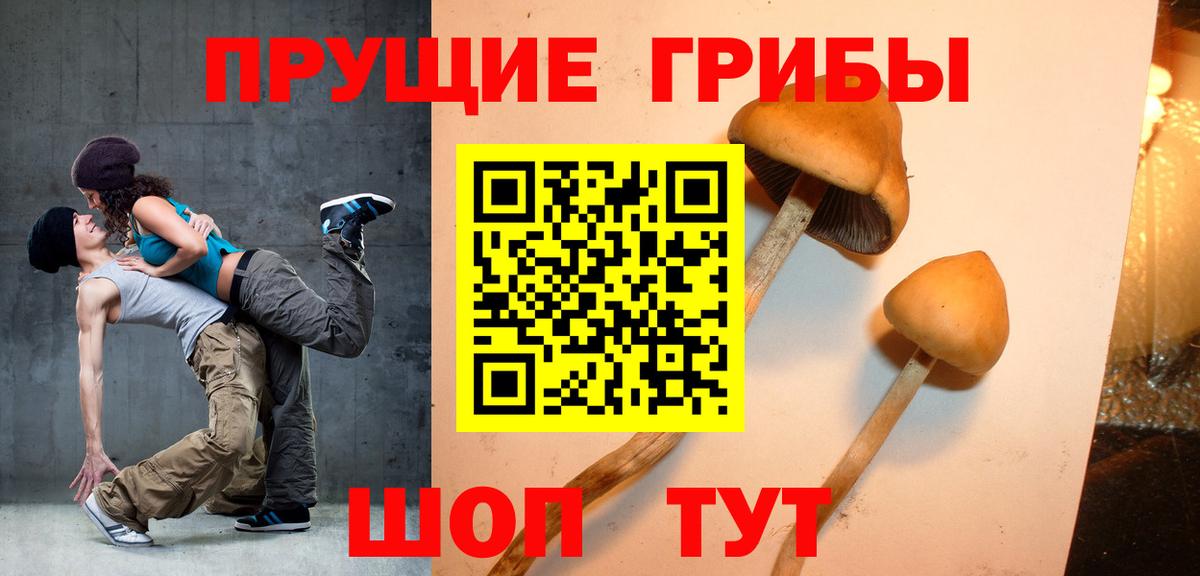 Галлюциногенные грибы MAGIC MUSHROOMS  купить  сайты  Усть-Илимск  Вход с VPN 